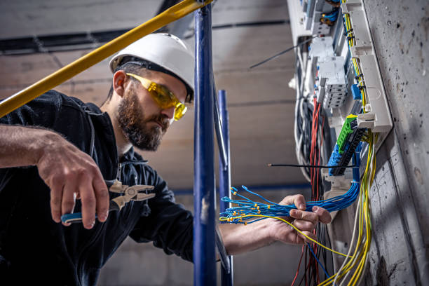 Best Electrician for Home Renovation  in West Livingston, TX